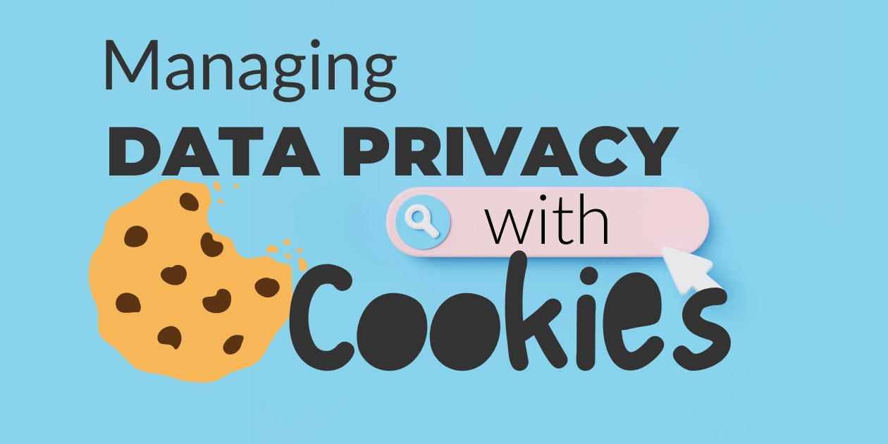 What Are Browser Cookies?